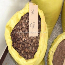 Tung Nut Oil For Leather With Low Gloss